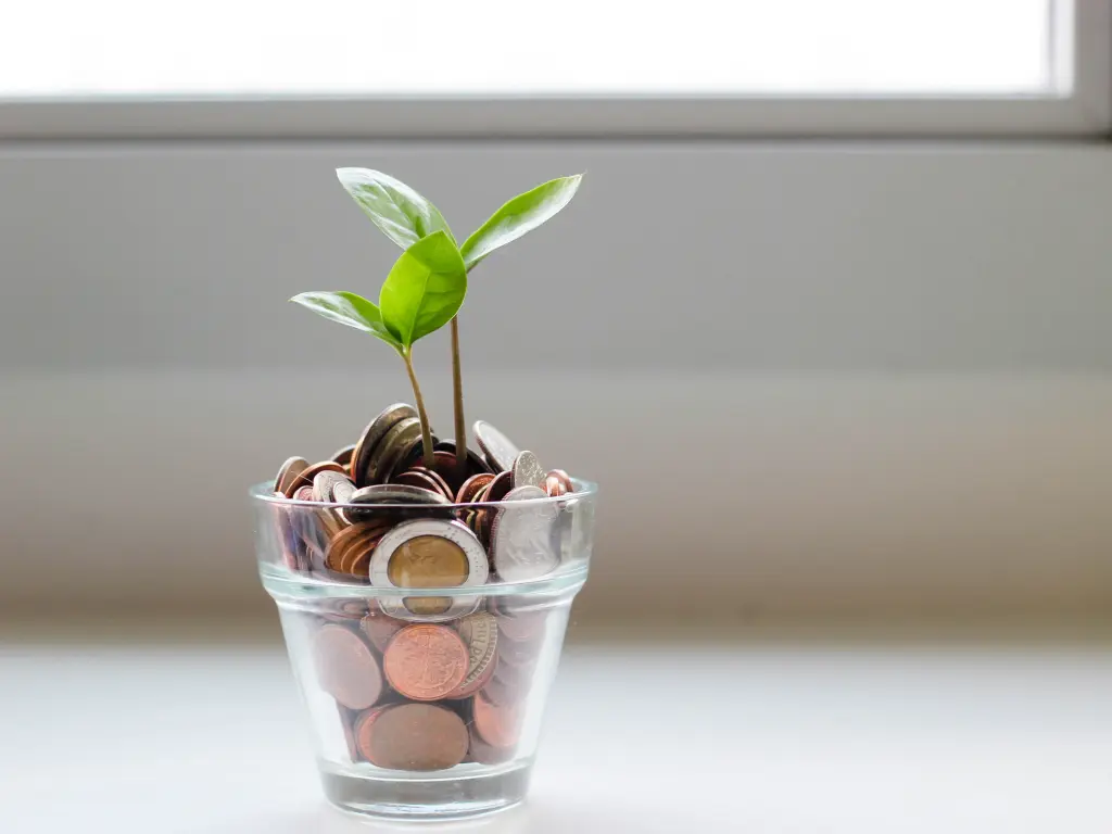 Eine Pflanze, die aus einem Glas mit Geld wächst
